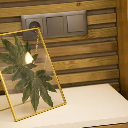 Fabulosa Vivienda Nueva A Un Paso De Plaza Espana Apartament *